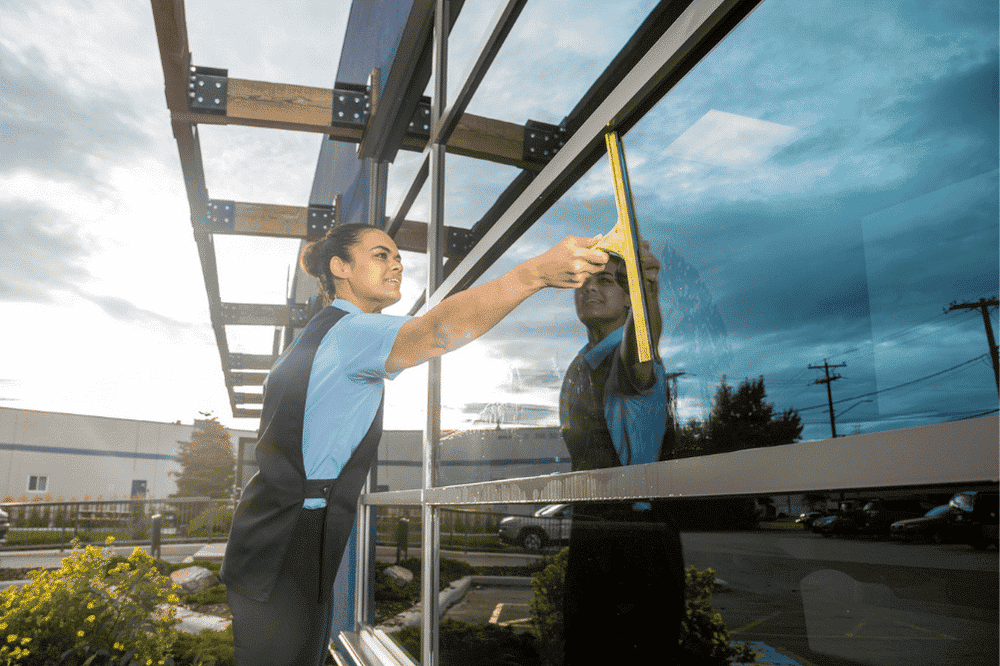services outdoor window washing