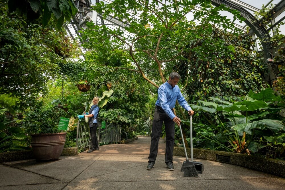 Outdoor building maintenance (1)